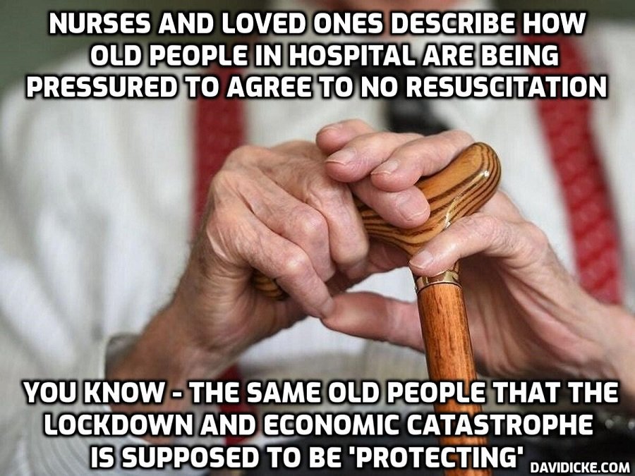 www.davidicke.com
