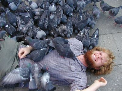 pigeon-man2.jpg