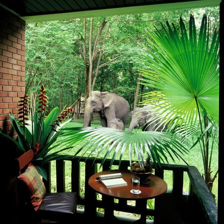 www.tripadvisor.com
