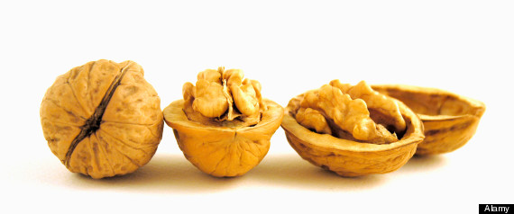 r-WALNUT-large570.jpg