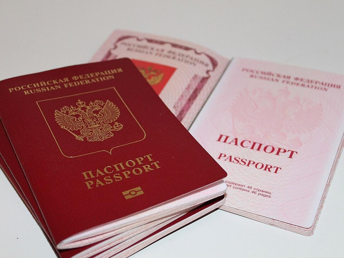 english.pravda.ru