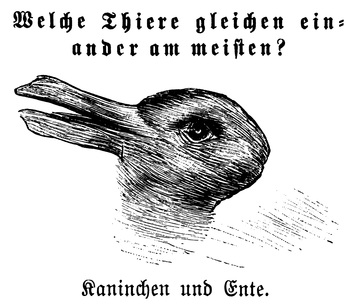 Kaninchen_und_Ente.png
