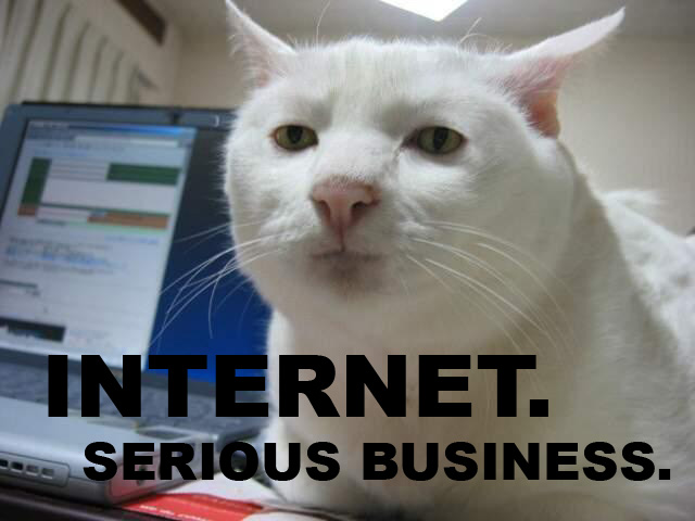 internet-serious-business-cat.jpg