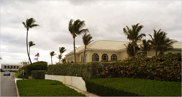 15palm01-600.jpg