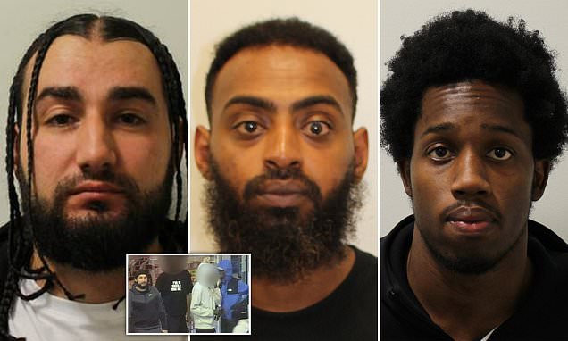 www.dailymail.co.uk