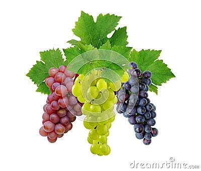 three-grapes-leaves-7467011.jpg
