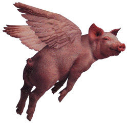 Pigs%2BFly.jpg