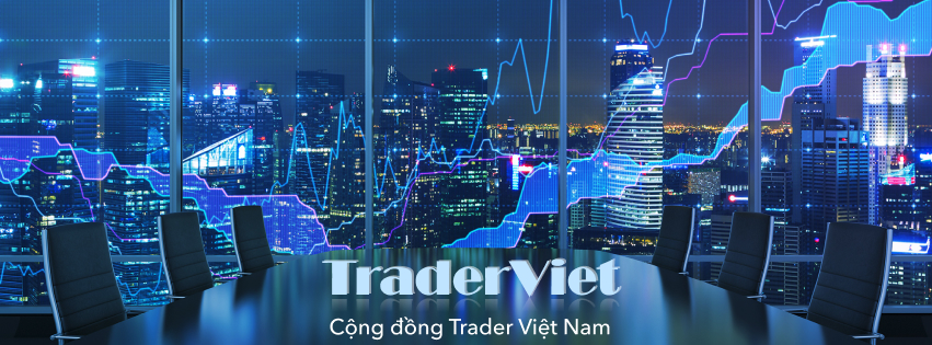 traderviet.com