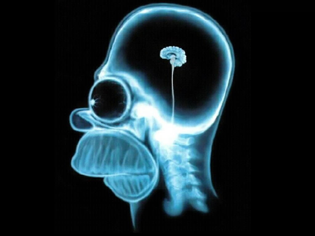 home-simpson-brain.jpg