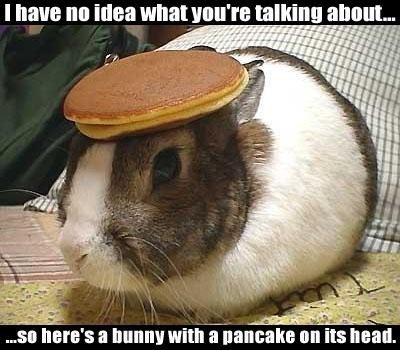 1205927630_192_FT9282_pancake-bunny%5B1%5D.jpg