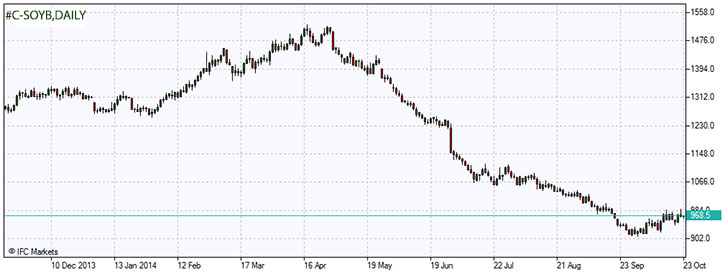 C-SOYB.z.23.10.2014.jpg