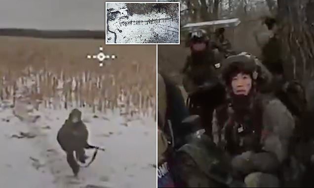 www.dailymail.co.uk