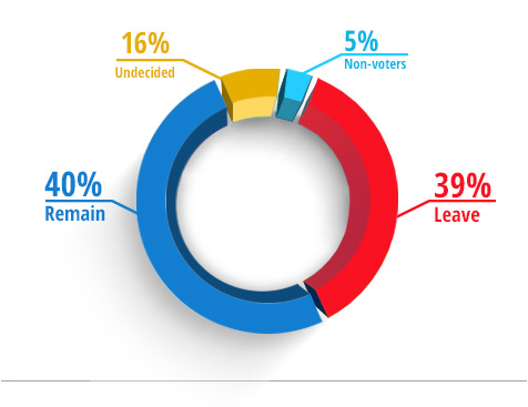 pie-chart.jpg