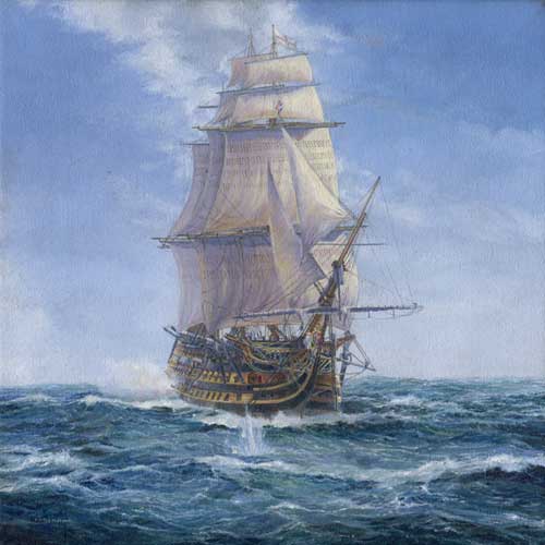 hms_victory_in_battle.jpg