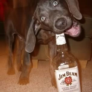 DrunkDog.jpg