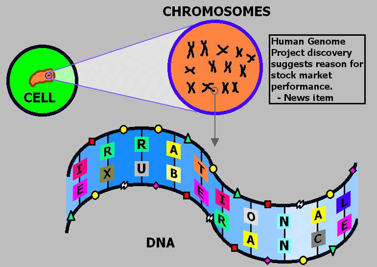 dna.gif