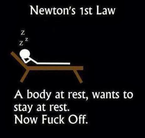 newtons+1st+law+funny+cartoon.jpg