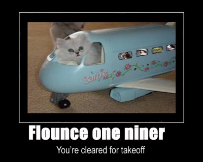 flounce_oneniner.jpg