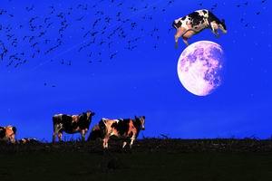 6923-EOS%207D_003296-cow-jump-over-the-moon-dark.jpg