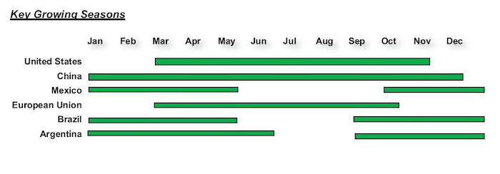 corn%20fact%202.jpg