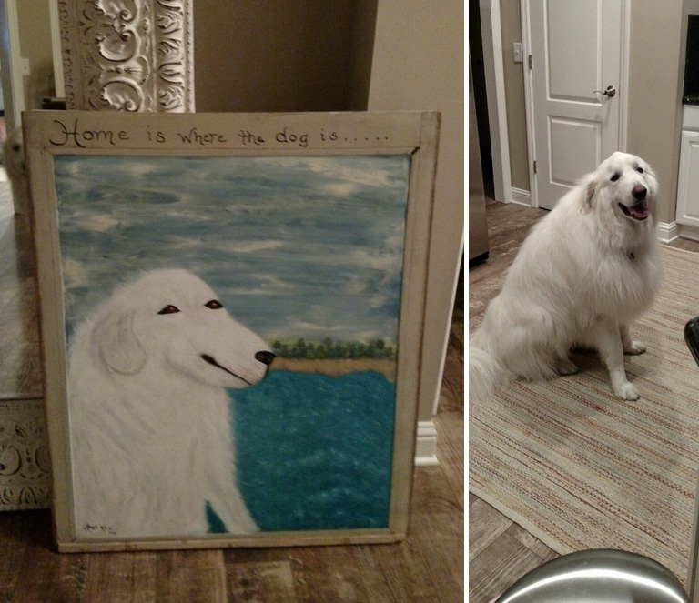 p7nf8-dog-painting-funny-cute.jpg